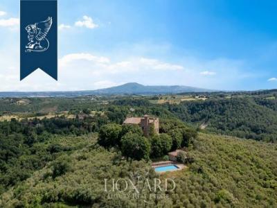 Acheter Maison 1500 m2 Civitella-d'agliano