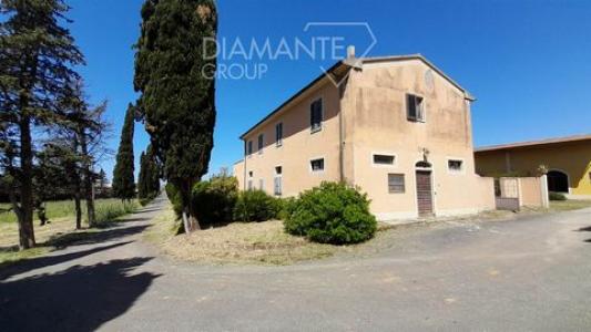 Acheter Maison 7000 m2 Montescudaio