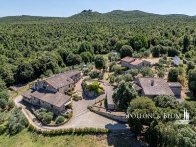 Acheter Maison 851 m2 Monteriggioni
