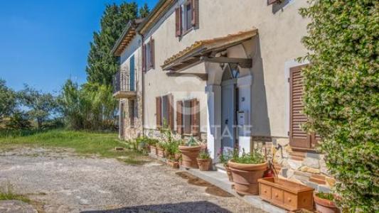 Acheter Maison Castiglione-del-lago