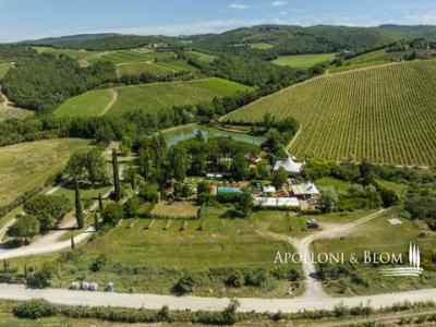 Acheter Local commercial 1200 m2 Castellina-in-chianti