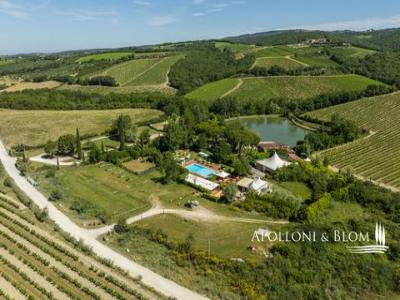 Acheter Local commercial Castellina-in-chianti r�gion SIENA