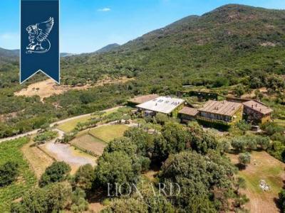 Annonce Vente 31 pi�ces Maison Cerveteri