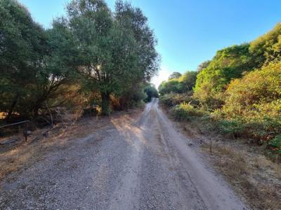 Annonce Vente Terrain Sassari