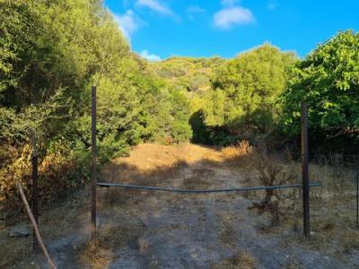 Acheter Terrain 32767 m2 Sassari