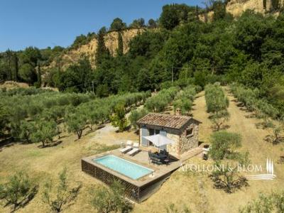 Annonce Vente Maison Montepulciano