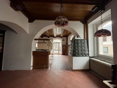 Annonce Vente Local commercial Ziano-di-fiemme