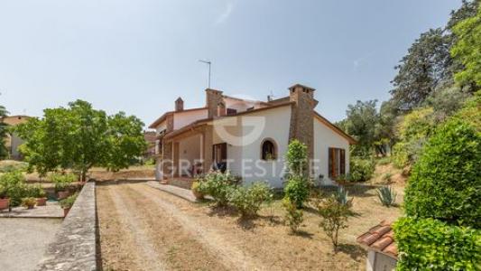 Annonce Vente Maison Ficulle