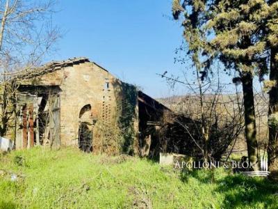 Acheter Maison 541 m2 Bellavista