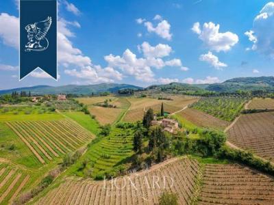Acheter Maison 500 m2 Greve-in-chianti