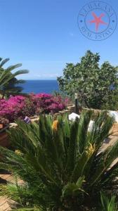 Acheter Maison 154 m2 Marciana