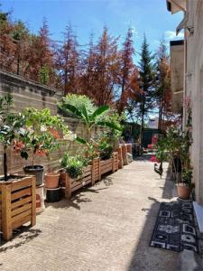 Acheter Maison 180 m2 Alessandria-della-rocca