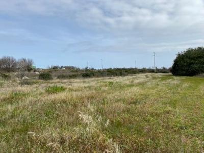 Annonce Vente Terrain Morciano-di-leuca