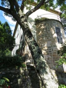 Annonce Vente 6 pi�ces Maison Orvieto