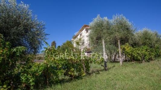 Acheter Maison San-casciano-dei-bagni r�gion SIENA