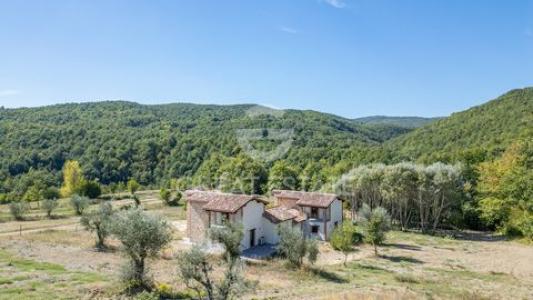 Annonce Vente Maison San-venanzo