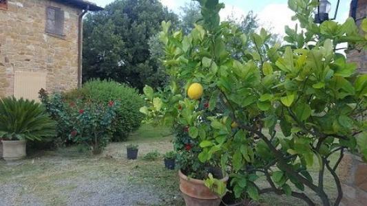 Acheter Maison 320 m2 Chianciano-terme