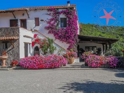 Annonce Vente 11 pi�ces Maison Portoferraio