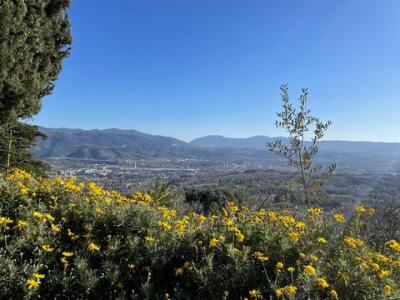 Acheter Maison Terni r�gion TERNI