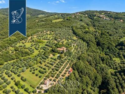 Annonce Vente 4 pi�ces Maison Capraia-e-limite