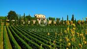 Acheter Maison Sarteano rgion SIENA