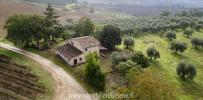 Annonce Vente Maison Orvieto