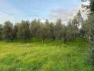 Annonce Vente Appartement Castagneto-carducci