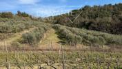 Acheter Maison 27000 m2 Castelnuovo-berardenga
