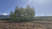 Annonce Vente Maison Massa-martana