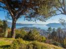 Annonce Vente 6 pices Maison Verbania