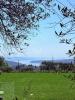 Annonce Vente Immeuble Roe-volciano