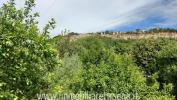 Acheter Appartement 200 m2 Orvieto