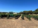 Acheter Maison 32767 m2 Berchidda