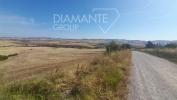 Acheter Terrain 32767 m2 Castiglione-d'orcia