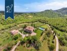 Acheter Maison 800 m2 Civitella-in-val-di-chiana
