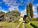 Annonce Vente 3 pices Maison Castagneto-carducci
