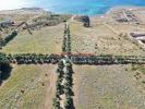 Annonce Vente 8 pices Appartement Erice