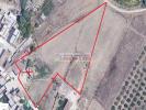 Annonce Vente Terrain Paceco