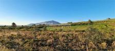 Acheter Terrain Erice rgion TRAPANI