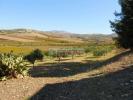 Acheter Terrain Valderice rgion TRAPANI