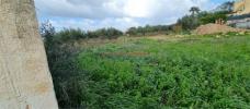 Annonce Vente Terrain Paceco