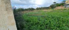 Acheter Terrain Paceco rgion TRAPANI