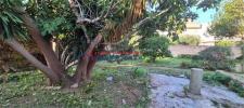 Annonce Vente Terrain Erice