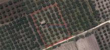 Annonce Vente Terrain Trapani