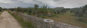 Acheter Terrain 4000 m2 Trapani