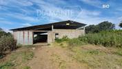 Annonce Vente Maison Manciano