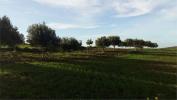 Annonce Vente Terrain Erice