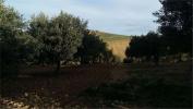 Acheter Terrain Erice rgion TRAPANI