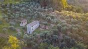 Annonce Vente 8 pices Maison Massarosa