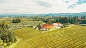 Acheter Maison 983 m2 Brucianesi